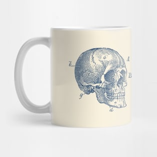Skull Diagram - Vintage Anatomy Poster Mug